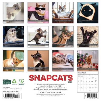 2026 Willow Creek Snapcats 12 x 12 Monthly Wall Calendar (52853)