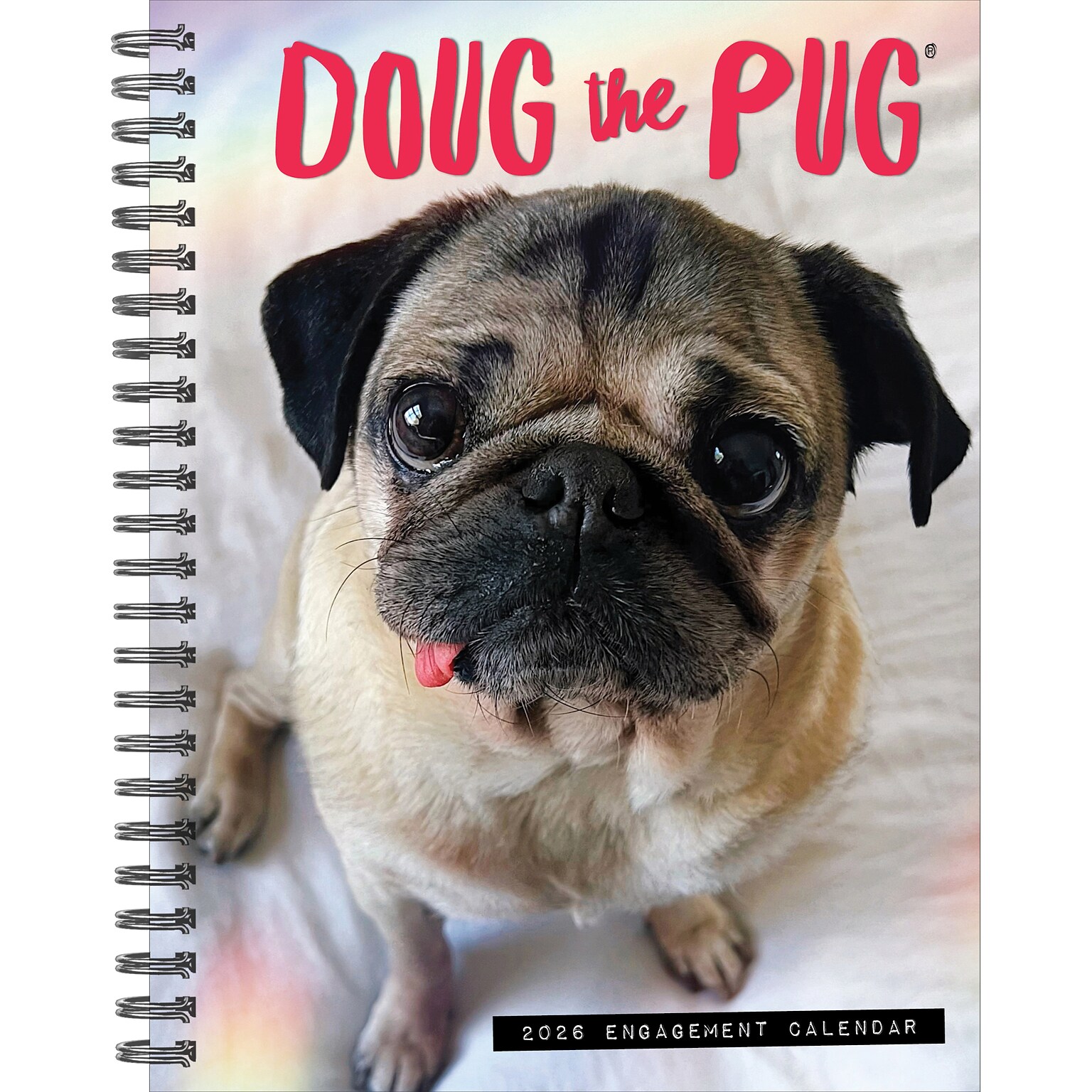 2026 Willow Creek Doug the Pug 6.5 x 8.5 Daily & Monthly Personal Organizer (54642)