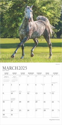 2025 Plato Magnificent Horses 12" x 12" Monthly Square Wall Calendar (9781975478995)