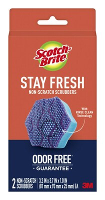 Scotch-Brite Stay Fresh Non-Scratch Scrubbers, Blue, 2 Sponges/Pack (SDA-2)