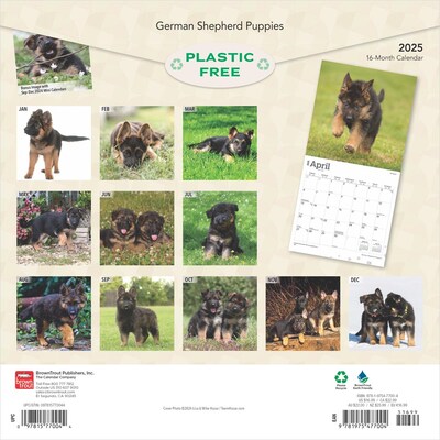2025 BrownTrout German Shepherd Puppies 12 x 12 Monthly Square Wall Calendar (9781975477004)