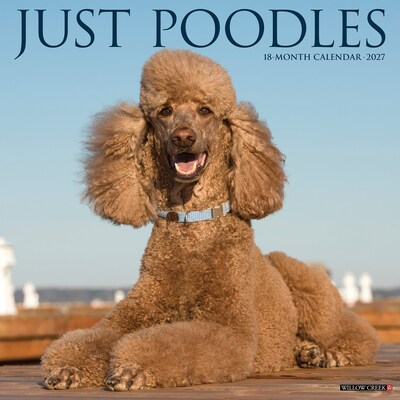 2027 Willow Creek Poodles 12 x 12 Monthly Wall Calendar, Assorted Colors (61879)