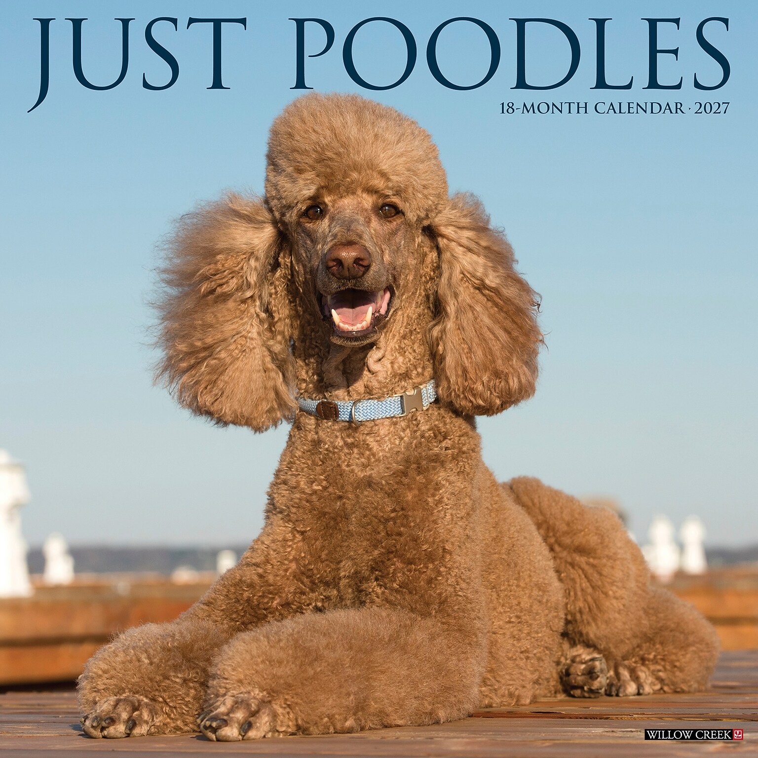 2027 Willow Creek Poodles 12 x 12 Monthly Wall Calendar, Assorted Colors (61879)