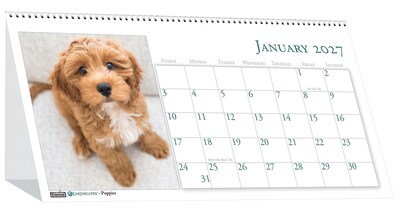 2027 House of Doolittle Earthscapes Puppy 8.5 x 4 Monthly Desk Calendar (3659-27)