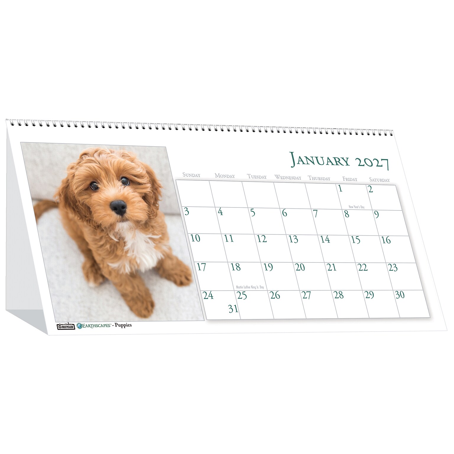 2027 House of Doolittle Earthscapes Puppy 8.5 x 4 Monthly Desk Calendar (3659-27)