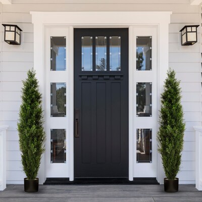 Forever Leaf 36 Cedar Boxwood in Black Pot, 2/Pack (FEV-2PBOX36)