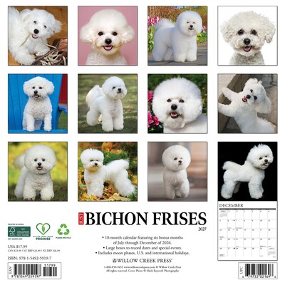 2027 Willow Creek Bichon Frises 12 x 12 Monthly Wall Calendar, Assorted Colors (59197)