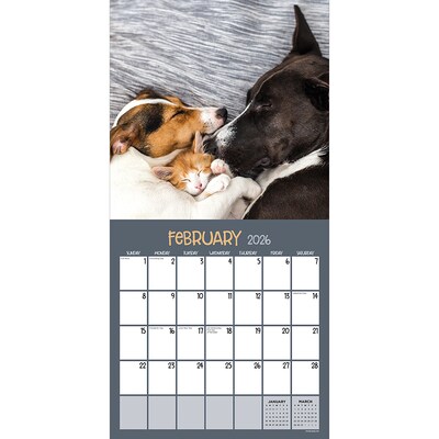2026 TF Publishing Furry Friends 12 x 12 Monthly Wall Calendar (26-1011)