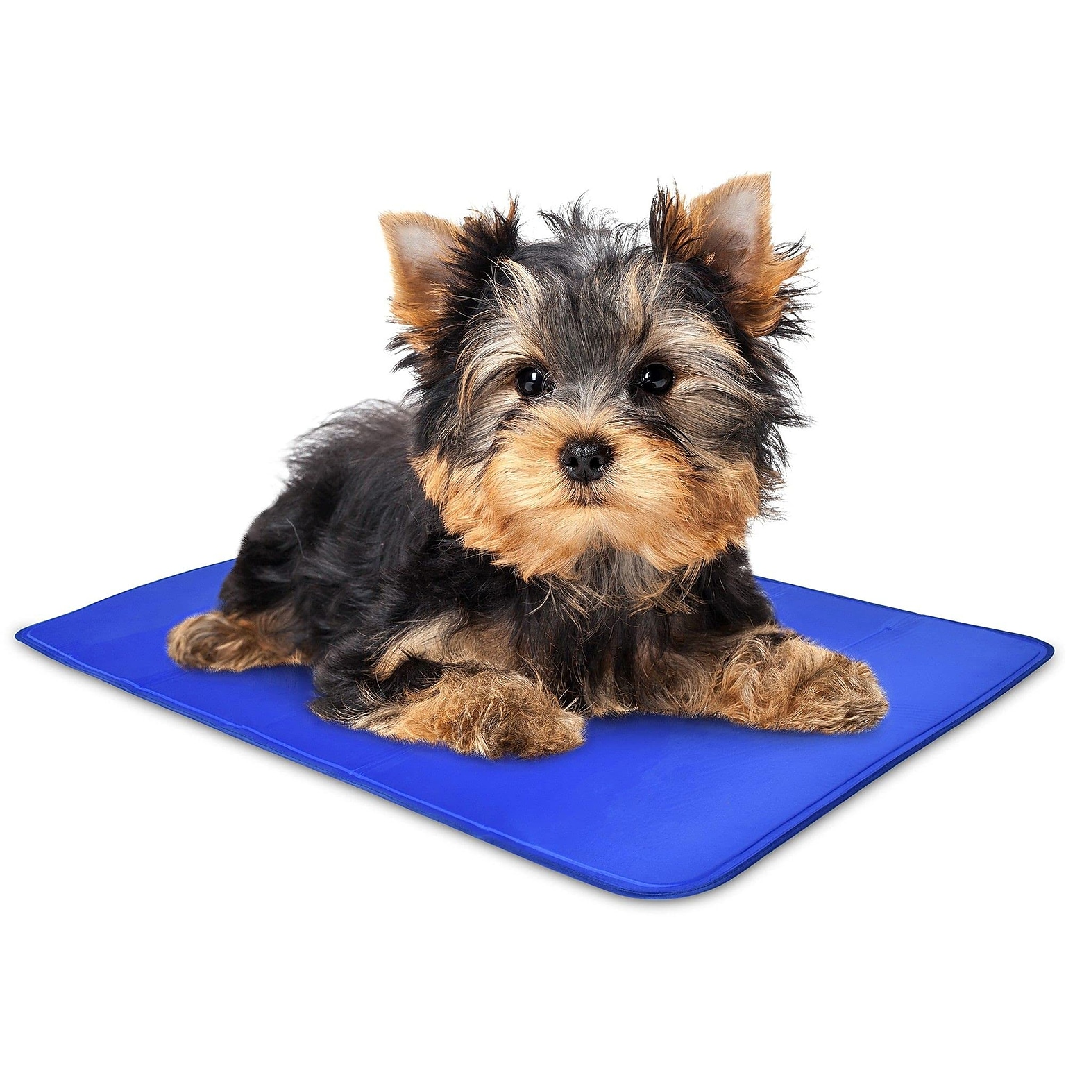 Arf Pets Non-Toxic Gel Dog Cooling Bed Mat for Kennels, X-Small, Blue (APCLPD015)