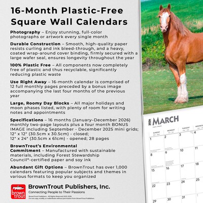 2026 BrownTrout Clydesdales 12" x 12" Monthly Wall Calendar (9798330702954)