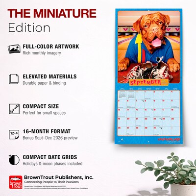 2027 BrownTrout Avanti Dogs Gone Wild 7" x 7" Monthly Wall Calendar, Assorted Colors (9798330712953)