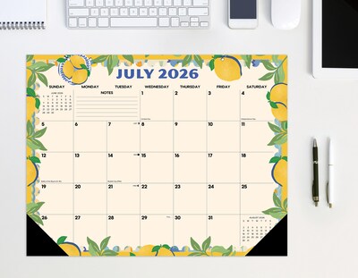 2026-2027 Willow Creek 22" x 17" Academic Monthly Desk Pad Calendar, Mediterranean Moments (66010)