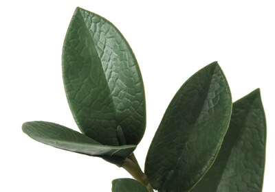 Monarch Specialties Inc. 29" Artificial ZZ Tree in Pot (I 9506)