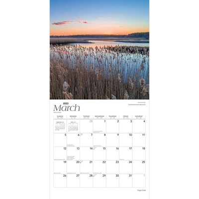 2023 BrownTrout Cape Cod 12" x 24" Monthly Wall Calendar, (9781975451394)