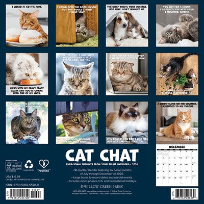 2026 Willow Creek Cat Chat 12 x 12 Monthly Wall Calendar (55700)