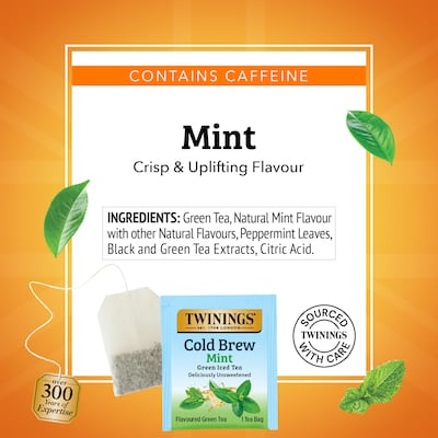 Twinings Iced Cold Brewed Mint Green Tea Bags, 20/Box (F07413)