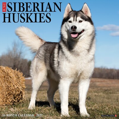 2027 Willow Creek Siberian Huskies 12 x 12 Monthly Wall Calendar, Assorted Colors (62333)