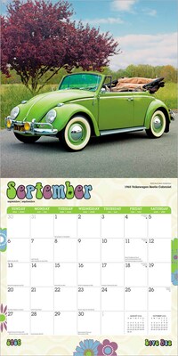 2026 BrownTrout Love Bug 12" x 12" Monthly Wall Calendar (9798330704415)