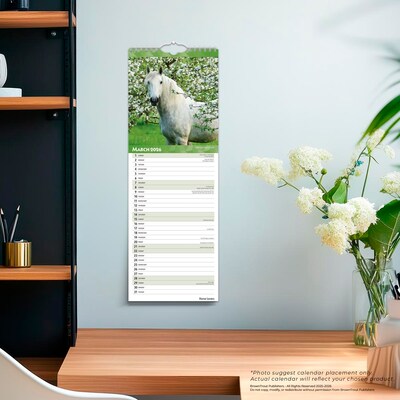 2026 BrownTrout Horse Lovers 5.88" x 16.5" Monthly Wall Calendar (9798330703722)