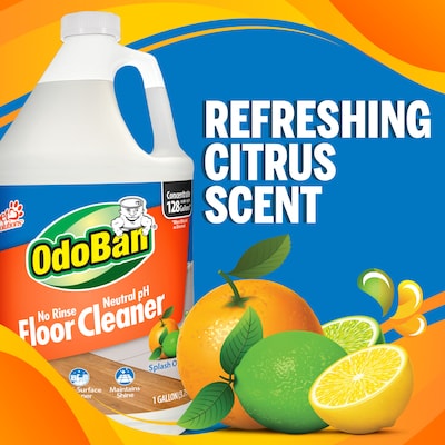 OdoBan Pet Solutions Neutral pH Floor Cleaner Concentrate, Citrus Scent, 1 Gallon (9361B61-G4)
