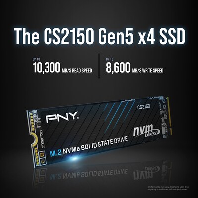 PNY CS2150 1TB M.2 Internal Solid State Drive (M280CS2150-1TB-TB)