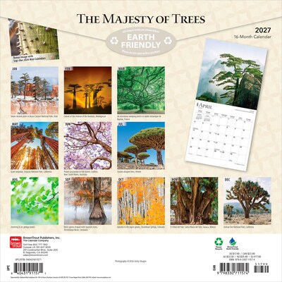 2027 BrownTrout The Majesty of Trees 12 x 12 Monthly Wall Calendar (9798330711574)