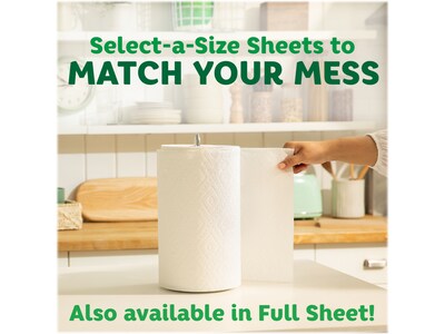 Bounty Select-A-Size Paper Towels, 2-Ply, 135 Sheets/Roll, 2 Rolls/Pack (06133)