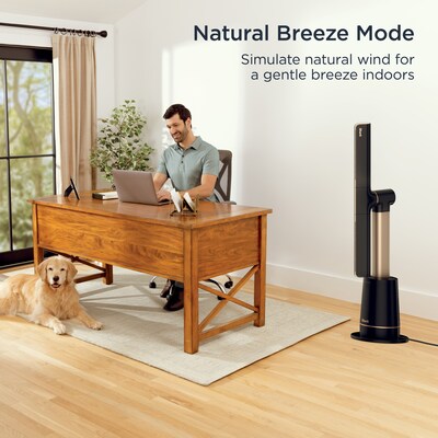 Shark TurboBlade Oscillating Floor Fan, 10 Speed, Charcoal (TF202S)
