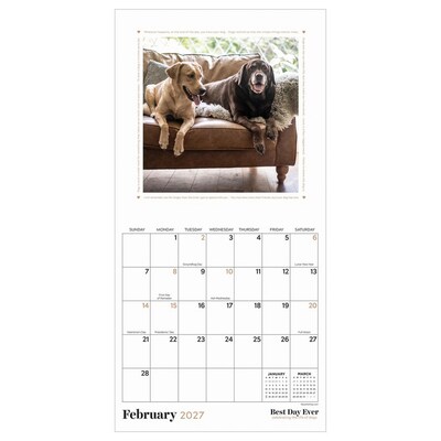 2027 TF Publishing Best Day Ever: Dogs 7" x 7" Monthly Wall Calendar, Multicolored (27-2008)