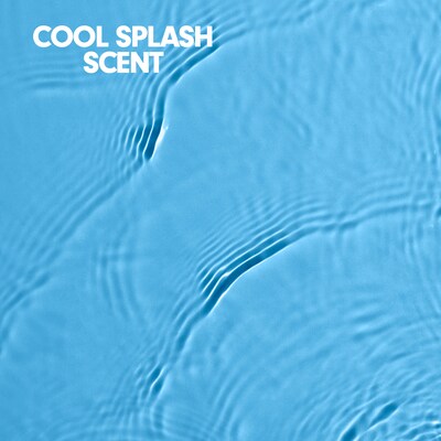Softsoap Antibacterial Liquid Hand Soap Refill, Cool Splash Scent, 6/Carton (61031016CT)