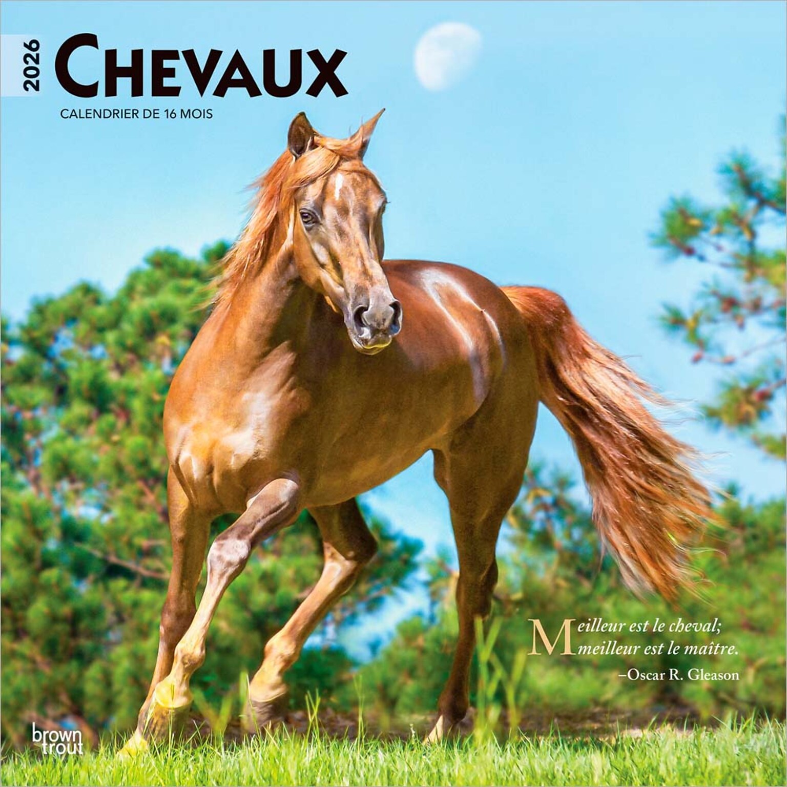 2026 BrownTrout Chevaux 12 x 12 Monthly Wall Calendar (9798330707362)