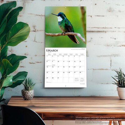 2026 BrownTrout Hummingbirds 12" x 12" Monthly Wall Calendar (9798330703807)