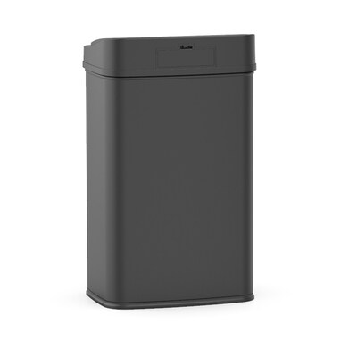 Nine Stars Stainless Steel Motion Sensor Trash Can, 13.2 Gallon, Black (DZT-50-28BSS)