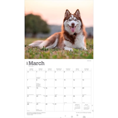 2027 BrownTrout For the Love of Siberian Huskies 14" x 12" Monthly Wall Calendar, Assorted Colors (9798330709274)