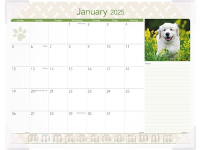 2025 AT-A-GLANCE Puppies 21.75 x 17 Monthly Desk Pad Calendar (DMD166-32-25)