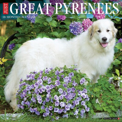 2027 Willow Creek Great Pyrenees  12 x 12 Monthly Wall Calendar (60551)