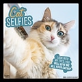 2023 BrownTrout Cat Selfies 12 x 12 Monthly Wall Calendar (9781975451431)