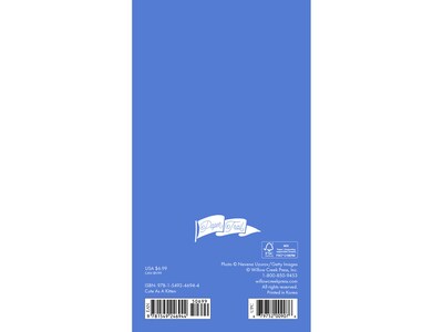 2025-2026 Willow Creek Cute As a Kitten 3.5 x 6.5 Monthly Planner, Paper Cover, Blue/Gray (46944)