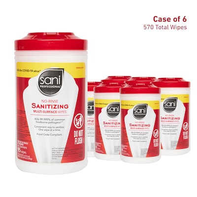Sani Professional Sani-Wipe Multi-Surface Sanitizing Wipes, 95 Wipes/Pack, 6/Carton (P56784CT)