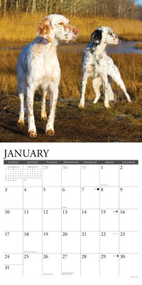 2027 Willow Creek Sporting Dogs 2" x 12" Monthly Wall Calendar, Assorted Colors (62463)