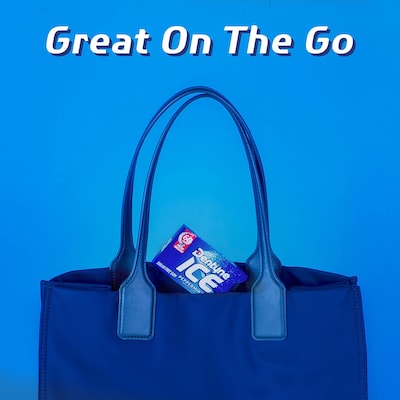 Dentyne Ice Sugar Free Peppermint Gum, 16 Pieces/Pack, 9 Packs/Box (VAM05111)