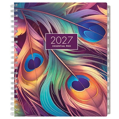 2027 Excello Brands Essential Pro 8.5" x 11" Weekly & Monthly Planner, Pastel Peacock (ESPRO-CY27-8511-61)