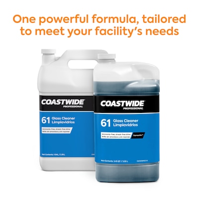 Coastwide Professional Glass Cleaner 61 Concentrate, 3.78L, 4/Carton (CW610001-A)