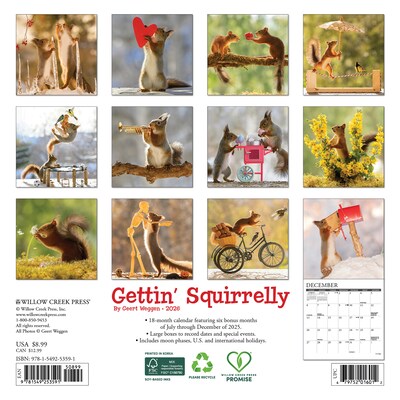 2026 Willow Creek Gettin Squirrelly 7 x 7 Monthly Wall Calendar (53591)