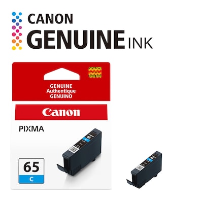 Canon 65 C Cyan Standard Yield Ink Cartridge (4216C002)