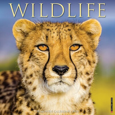 2025 Willow Creek Wildlife 12 x 12 Monthly Wall Calendar (45480)