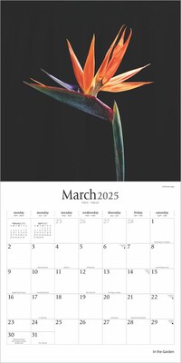 2025 Brush Dance In the Garden 12" x 12" Monthly Wall Calendar (9781975478568)