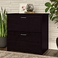 Bush Furniture Cabot 2 Drawer Lateral File Cabinet, Espresso Oak (WC31880)