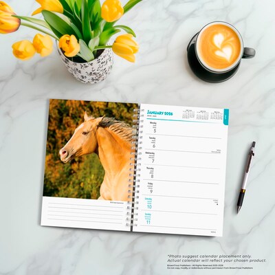 2026 BrownTrout Horse Lovers 6.5" x 7.75" Weekly Planner (9798330703692)
