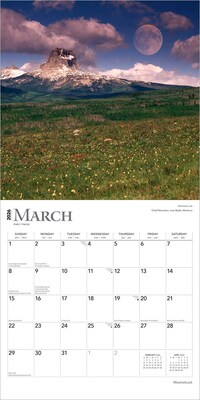 2026 BrownTrout Moonstruck 12" x 12" Monthly Wall Calendar (9798330704705)